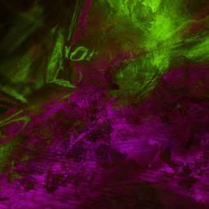 抚慰的周三工作回忆