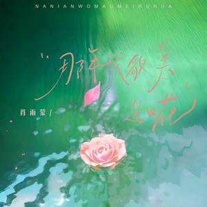 那年我貌美如花