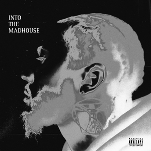 INTO THE MADHOUSE