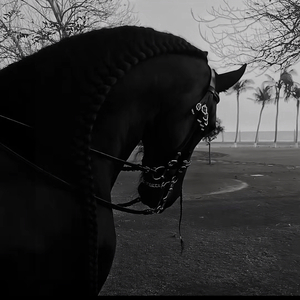 铺垫（Prod By 9Zi）