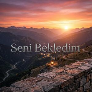 Seni Bekledim