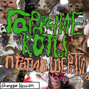 Панк (Garage Version)