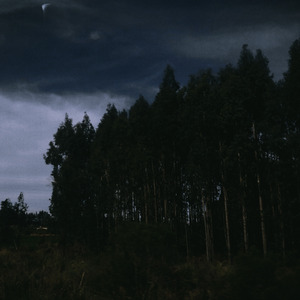 Para Terras Esquecidas