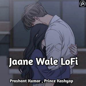 Jaane Wale (Mix)