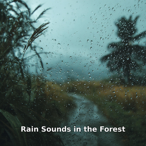 Rain in the Pine Forest, Pt.8