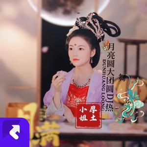 月亮圆大团圆（DJ热舞版）