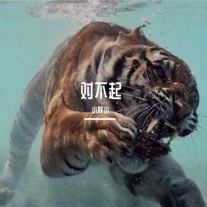 我总是一个人在练习一个人（翻自 林宥嘉）