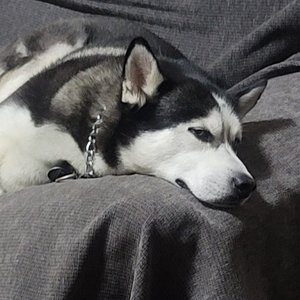 世纪公园 interlude