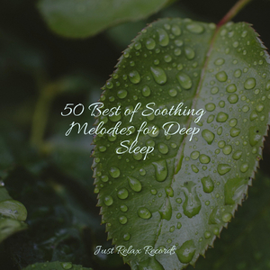 Chaotic Melody Mirage