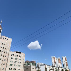 夏天的风（翻自 赵航aa）