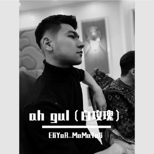 ah gul（白玫瑰）