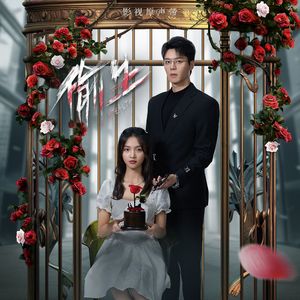 你又不是我的谁