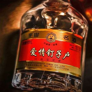 爱情钉子户 (DJ版)
