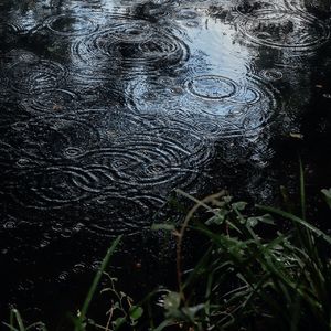 【FREE】This is About the Rain (Prod. by Ziguo Chen)