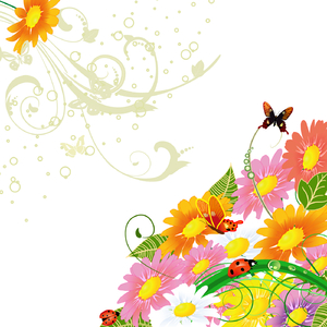 希望について (Originally Performed by NO NAME)