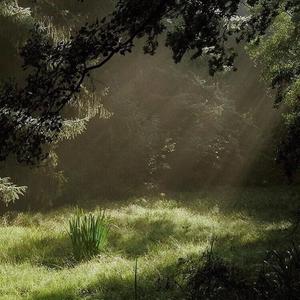 Iluvu (feat. Kamiya & Jetpacc)