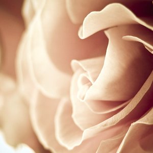 默（Cover 那音）