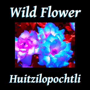 Wild Flower