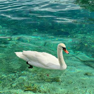 要和你一起走到老