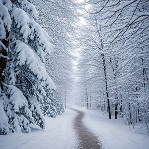 雪落无声