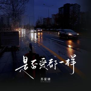 是否爱都一样（校园广播版）