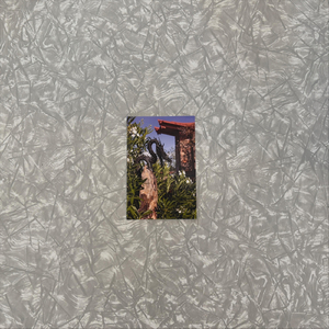 The Laundry Room (feat. Kalia Storer & Carl Taylor)