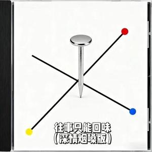 往事只能回味 (深情烟嗓版) (Cover 韩宝仪)