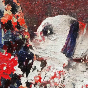 さよなら愛犬のりぴー