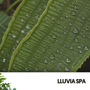 Ceremonia de la Lluvia Sagrada