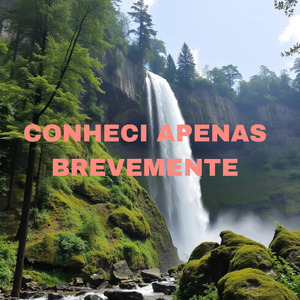 Conheci Apenas Brevemente
