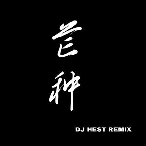 音阙诗听-芒种（HEST remix）