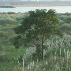 特别的人雨天.翻唱