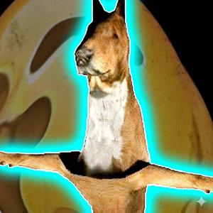 Bark (Sutfxz Remix)