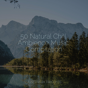 Fading Echoes of Solace