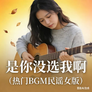 是你没选我啊(热门BGM民谣女版)