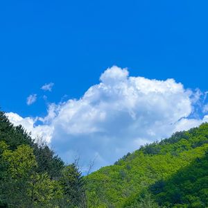 平凡之路