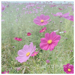 はっぴーえんど