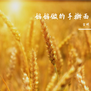 妈妈做的手擀面