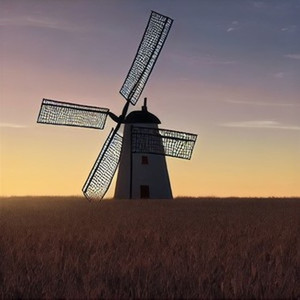 Why Would I Ever (Live)