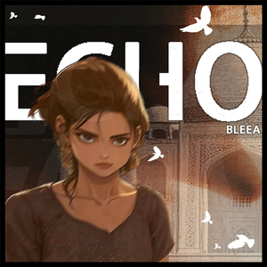 Echo（回声）