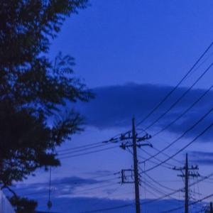 东京不太热（翻自 洛天依）