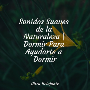 Llamado Desde Dentro