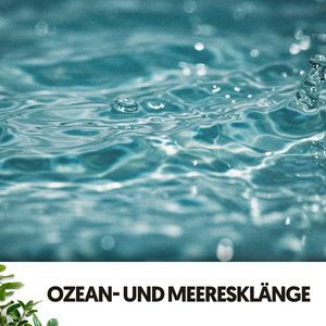 Beruhigende Lernsitzung