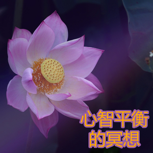 心智平衡的冥想