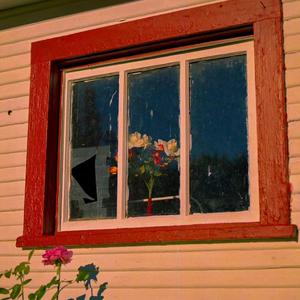 影子情人（cover）