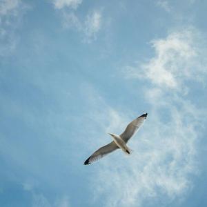 躺在秋天里的旅行日记（demo）