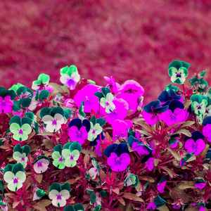 微妙的早上休息心情