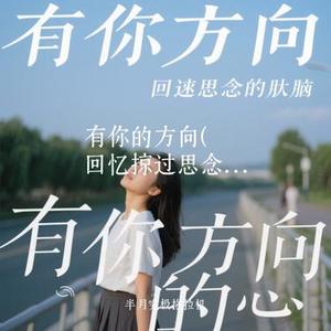 有你的方向 (回忆掠过思念的脑海) (Cover KK168)