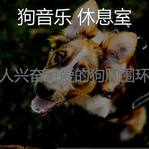 精彩狗环境