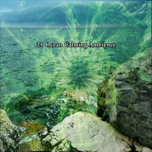 通过大海缓解焦虑